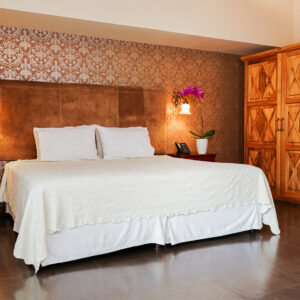 Habitacion Deluxe Matrimonial